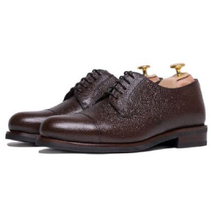 Derby and Blucher shoe