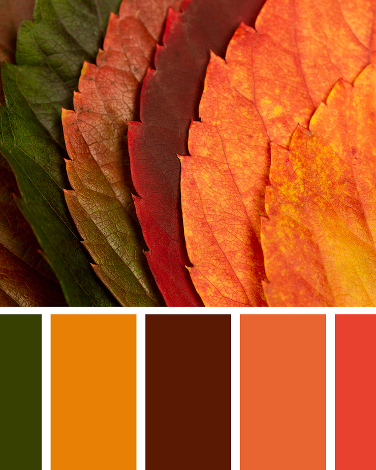 Why not explore the fall colors this week?