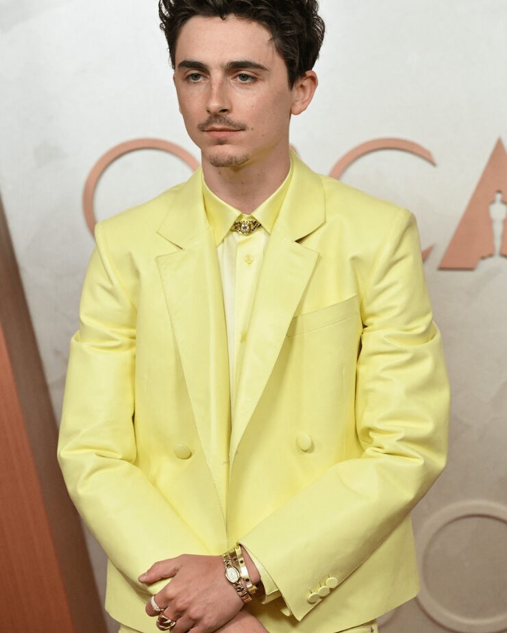 Timothée Chalamet at the Oscars red carpet this year!